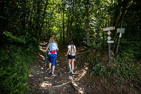 Trekking Alta Langa